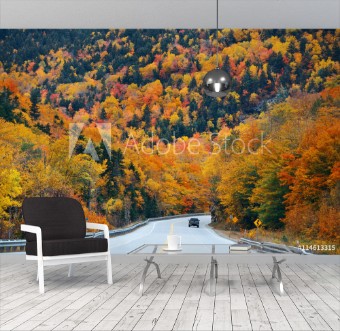 Picture of Highway and Autumn foliage